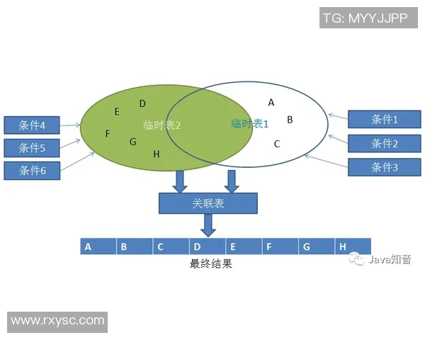 V5战队在耐力表现上的数据分析与战术探讨