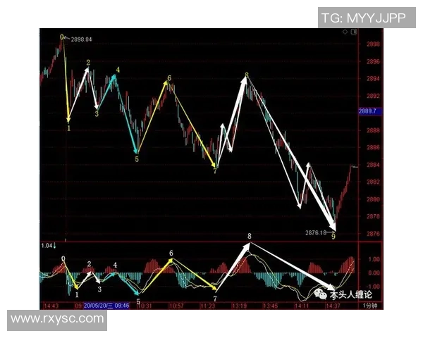 南京排球队包夹战术解析与实战应用探讨