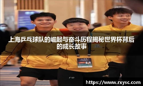 DG视讯官方app